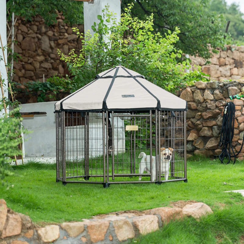 Advantek Pet Gazebo Dog Kennel & Reviews Wayfair